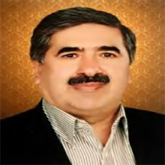 محمد محبی